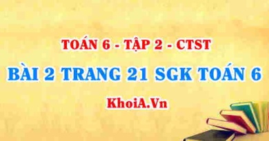 Bài 2 trang 20 SGK Toán 6 Tập 2 Chân trời sáng tạo